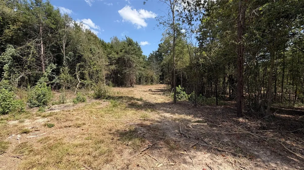 15 County Road 475a Henderson, TX 75654