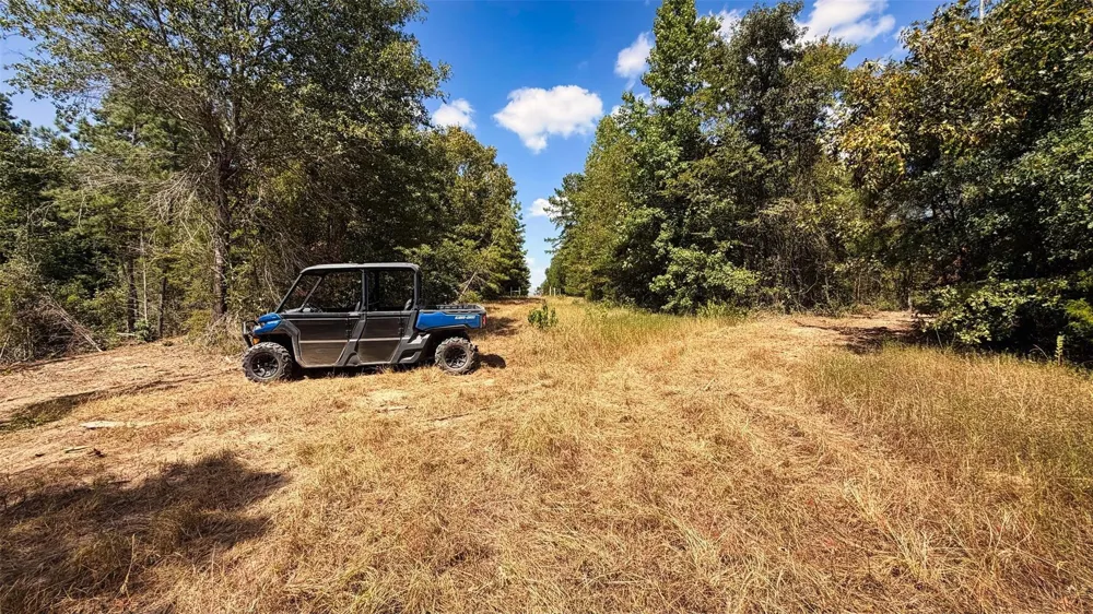 15 County Road 475a Henderson, TX 75654