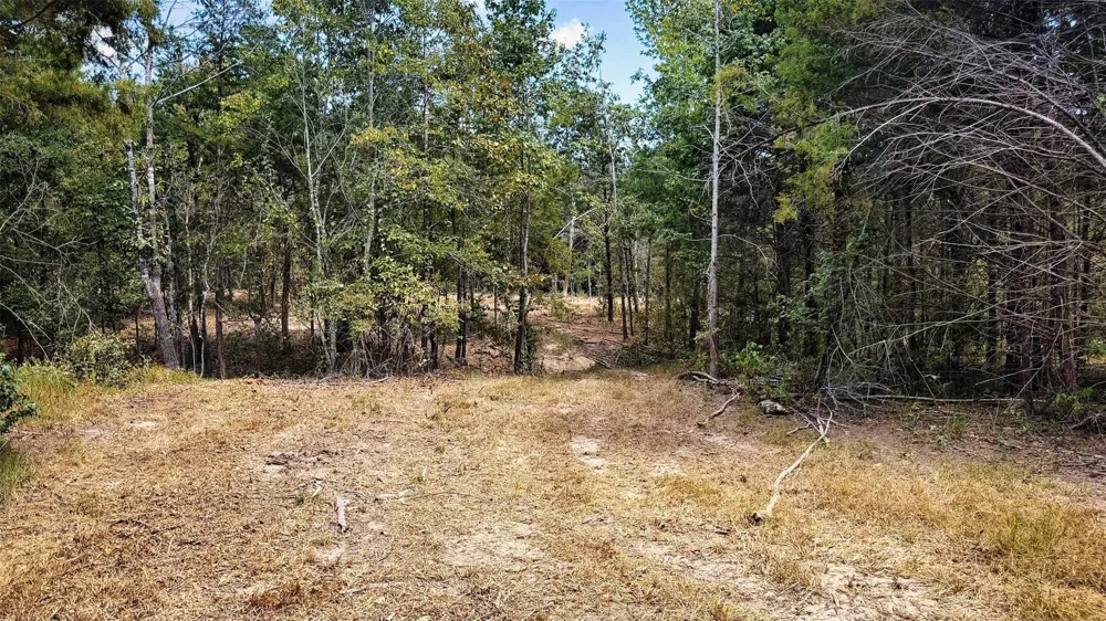 15 County Road 475a Henderson, TX 75654