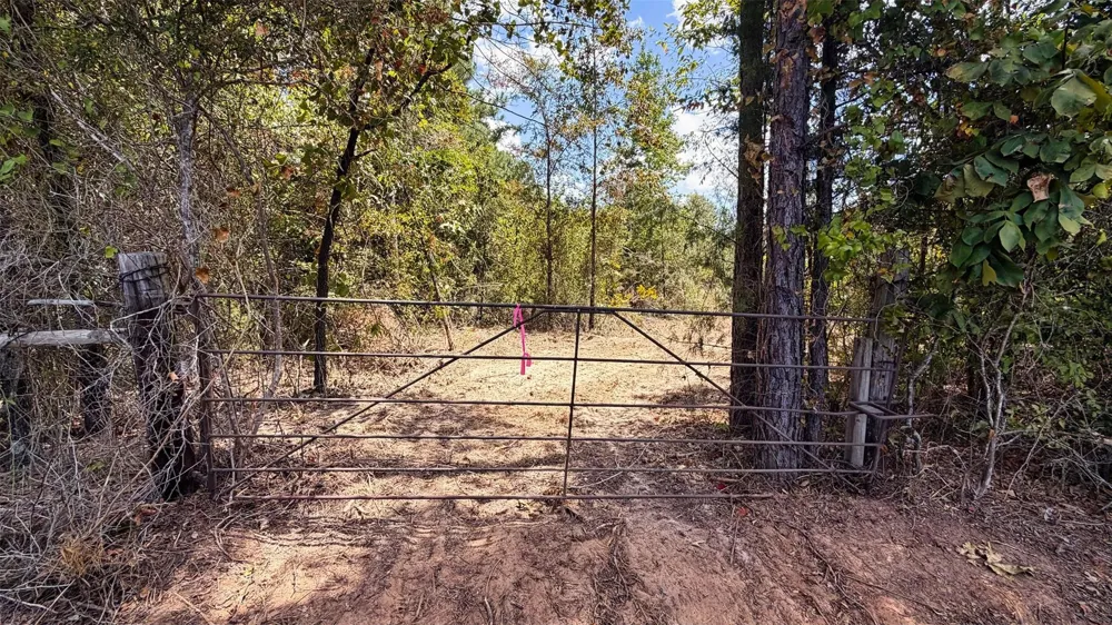 15 County Road 475a Henderson, TX 75654