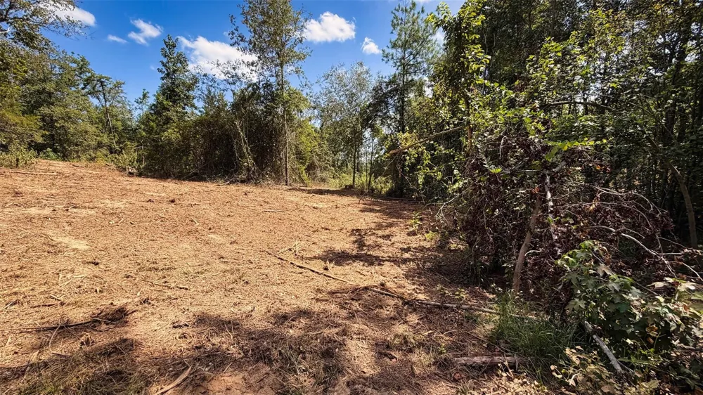 15 County Road 475a Henderson, TX 75654
