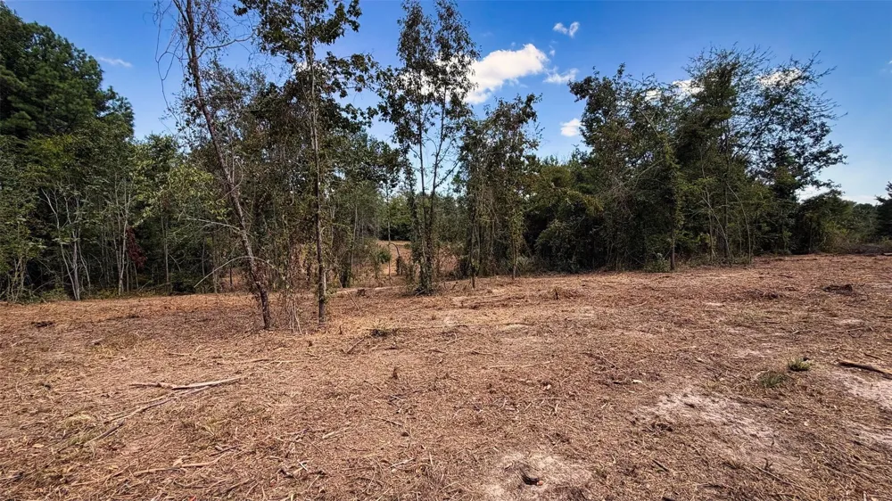 15 County Road 475a Henderson, TX 75654