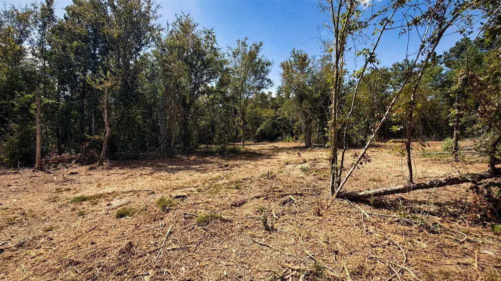 15 County Road 475a Henderson, TX 75654