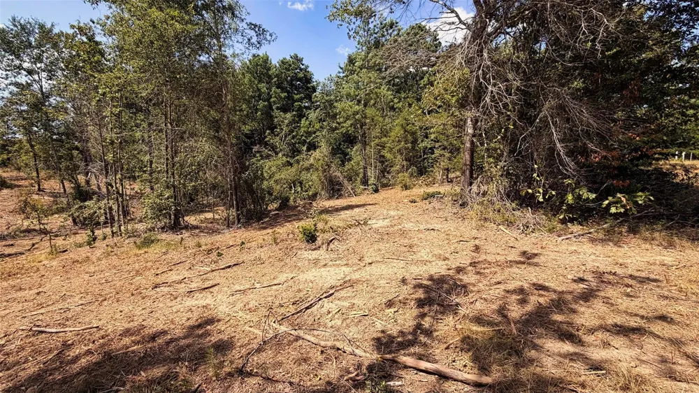15 County Road 475a Henderson, TX 75654