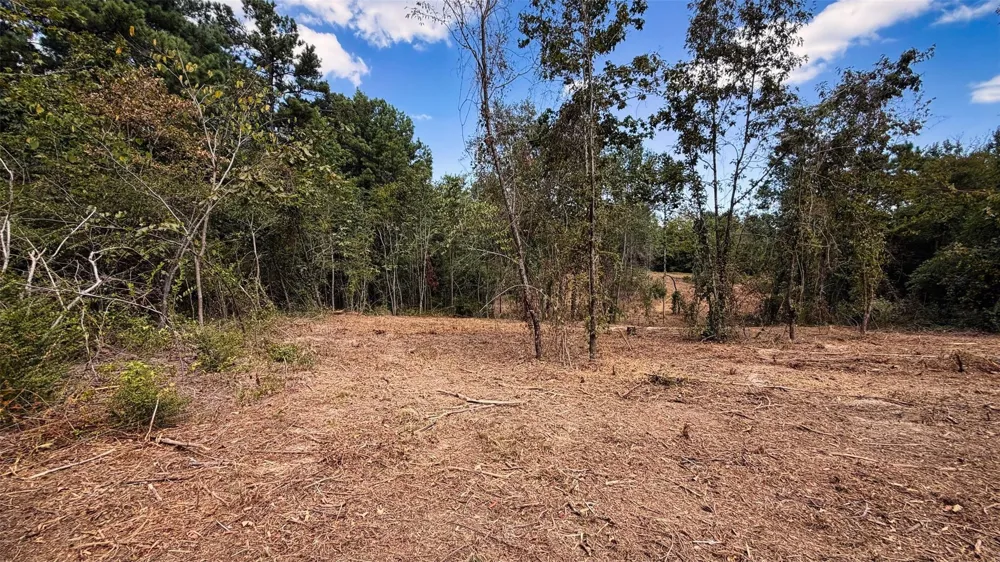 15 County Road 475a Henderson, TX 75654