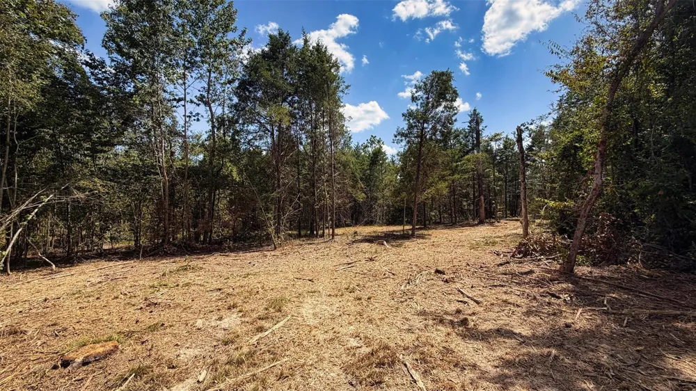 15 County Road 475a Henderson, TX 75654