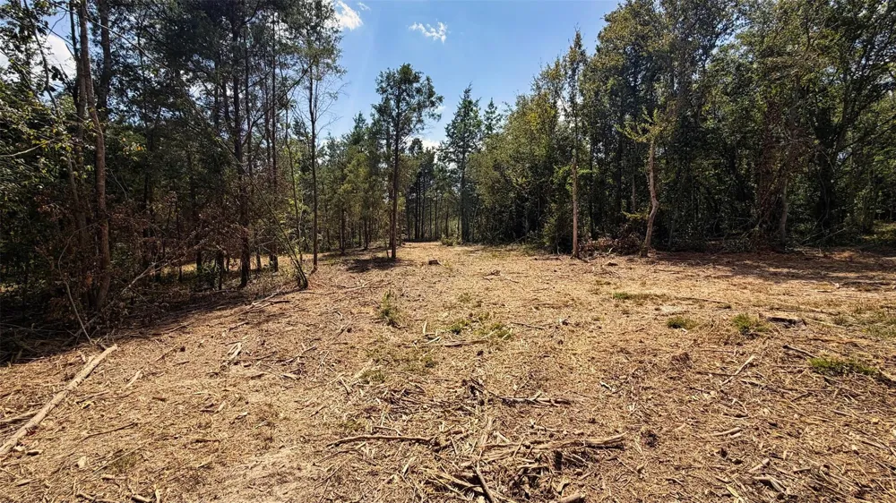 15 County Road 475a Henderson, TX 75654