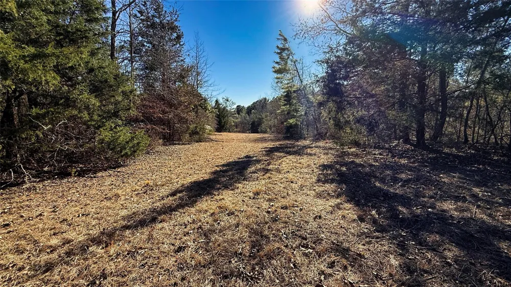 15 County Road 475a Henderson, TX 75654