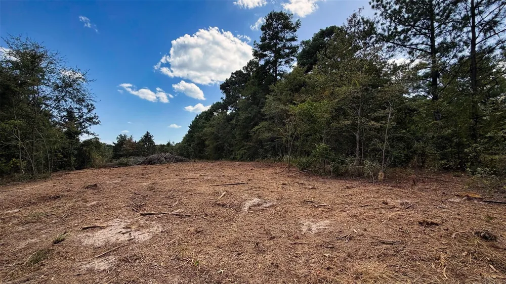 15 County Road 475a Henderson, TX 75654