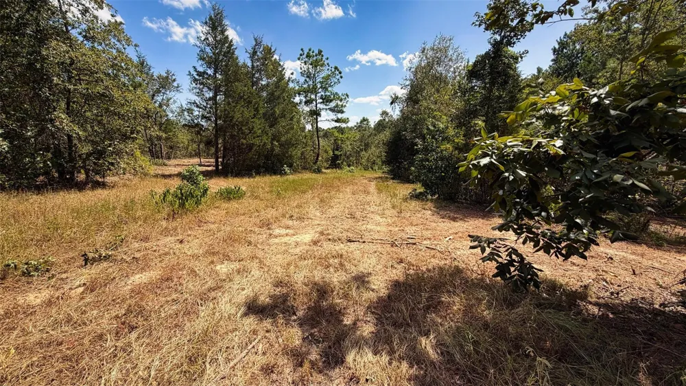 15 County Road 475a Henderson, TX 75654