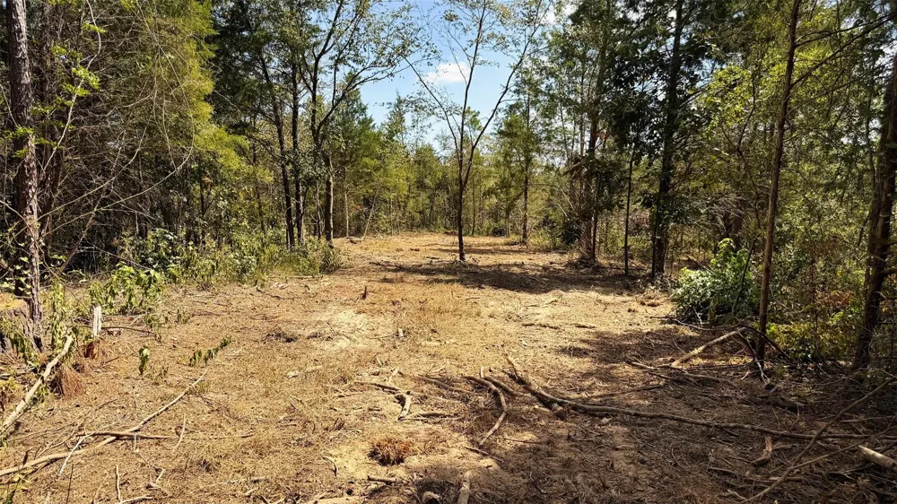 15 County Road 475a Henderson, TX 75654