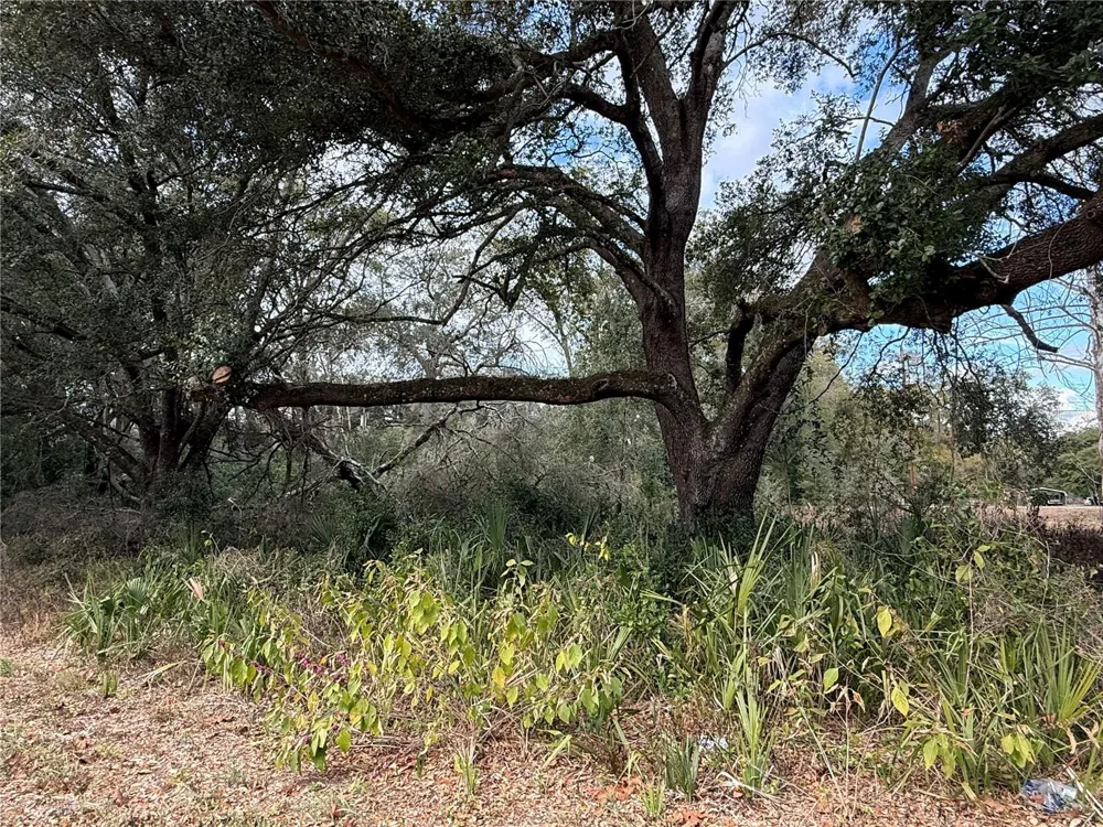 0 HILDA RD Dade City, FL 33523