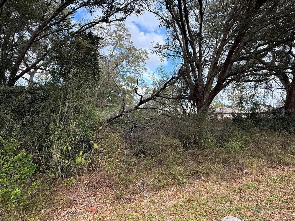 0 HILDA RD Dade City, FL 33523