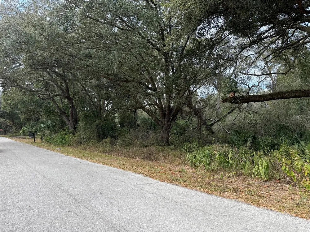0 HILDA RD Dade City, FL 33523