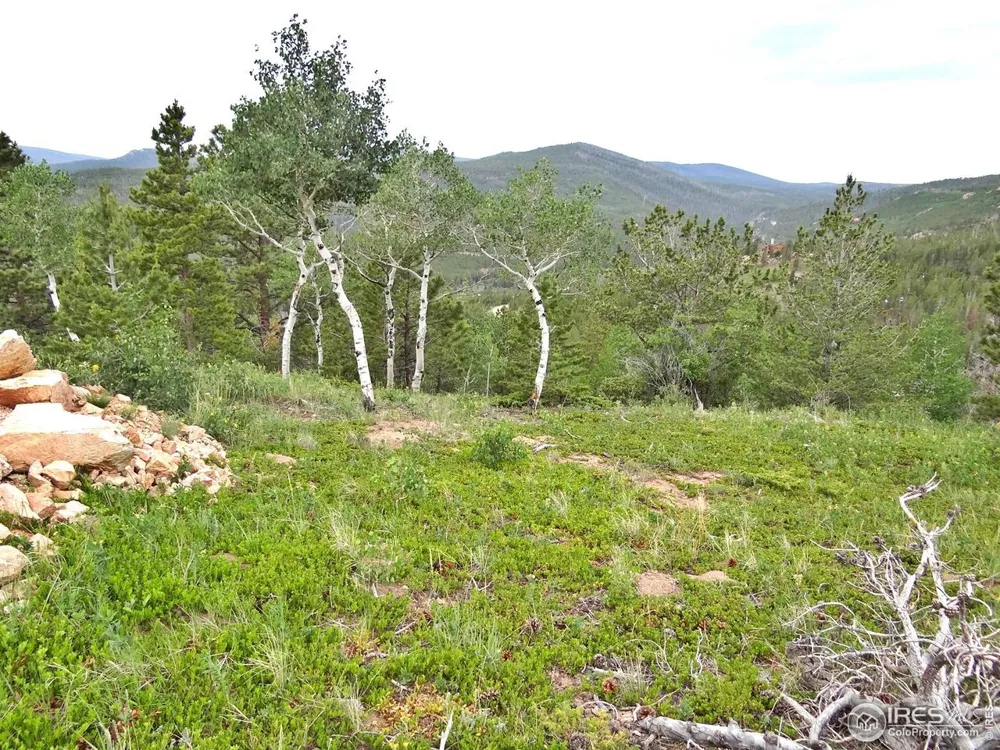 1601 Osage Trail Red Feather Lakes, CO 80545