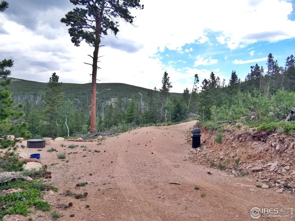 1601 Osage Trail Red Feather Lakes, CO 80545