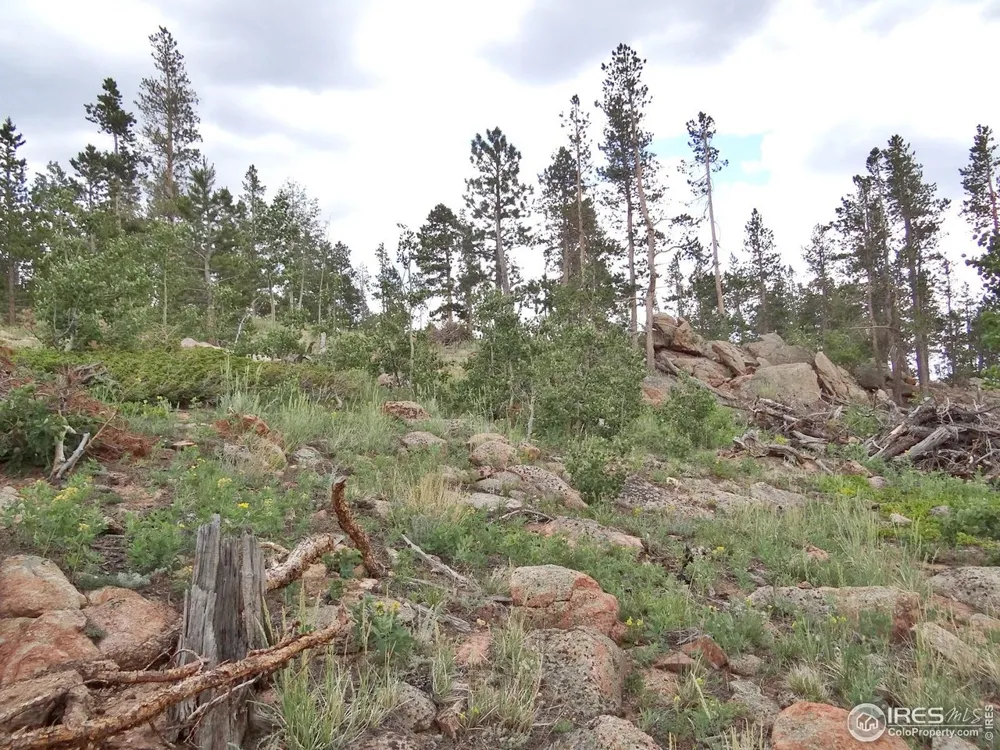 1601 Osage Trail Red Feather Lakes, CO 80545