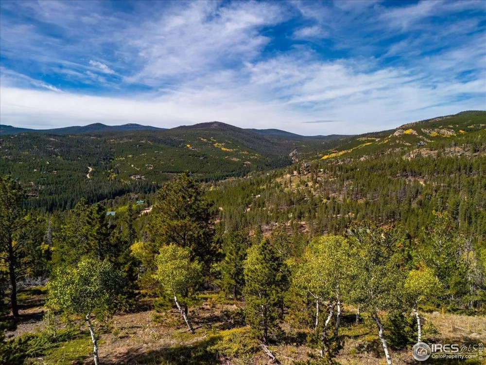 1601 Osage Trail Red Feather Lakes, CO 80545