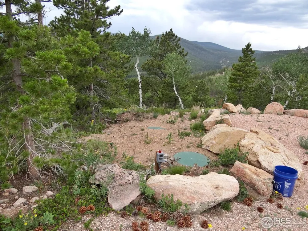 1601 Osage Trail Red Feather Lakes, CO 80545
