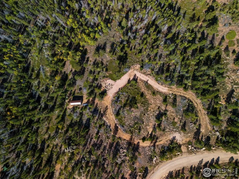 1601 Osage Trail Red Feather Lakes, CO 80545