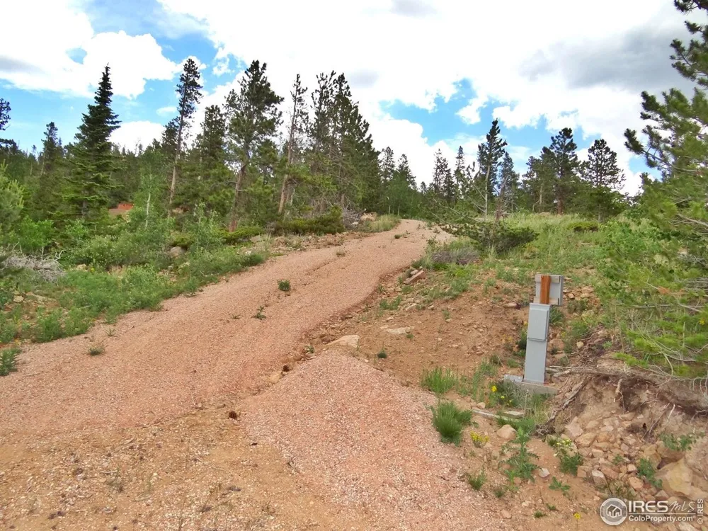 1601 Osage Trail Red Feather Lakes, CO 80545