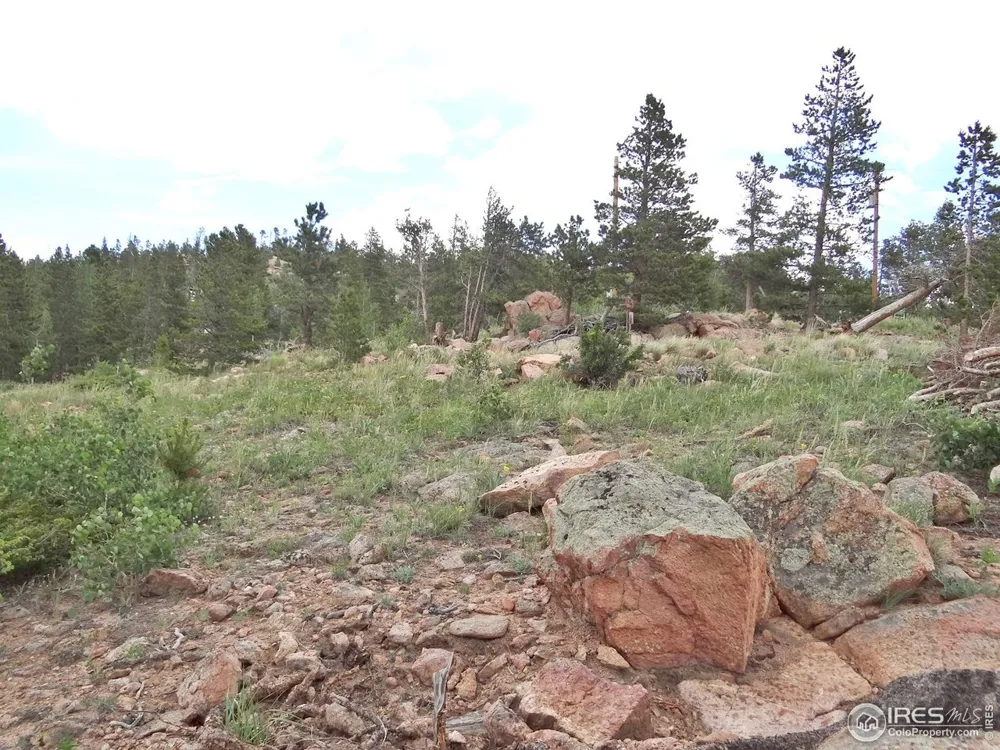 1601 Osage Trail Red Feather Lakes, CO 80545