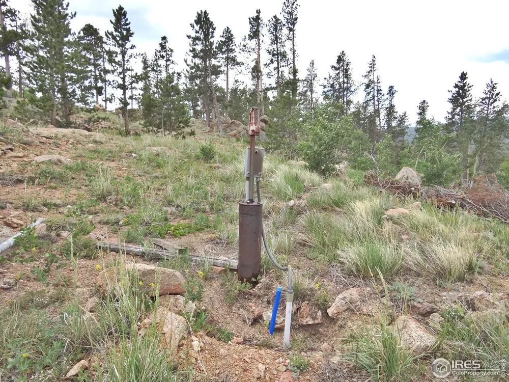 1601 Osage Trail Red Feather Lakes, CO 80545