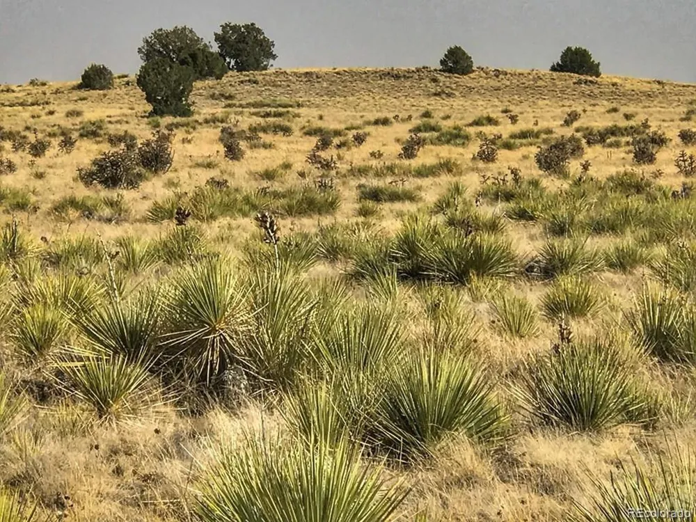 Lot 243 Turkey Ridge Ranch Walsenburg, CO 81089