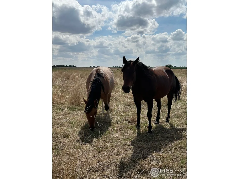 0 County Road 41 Hudson, CO 80642