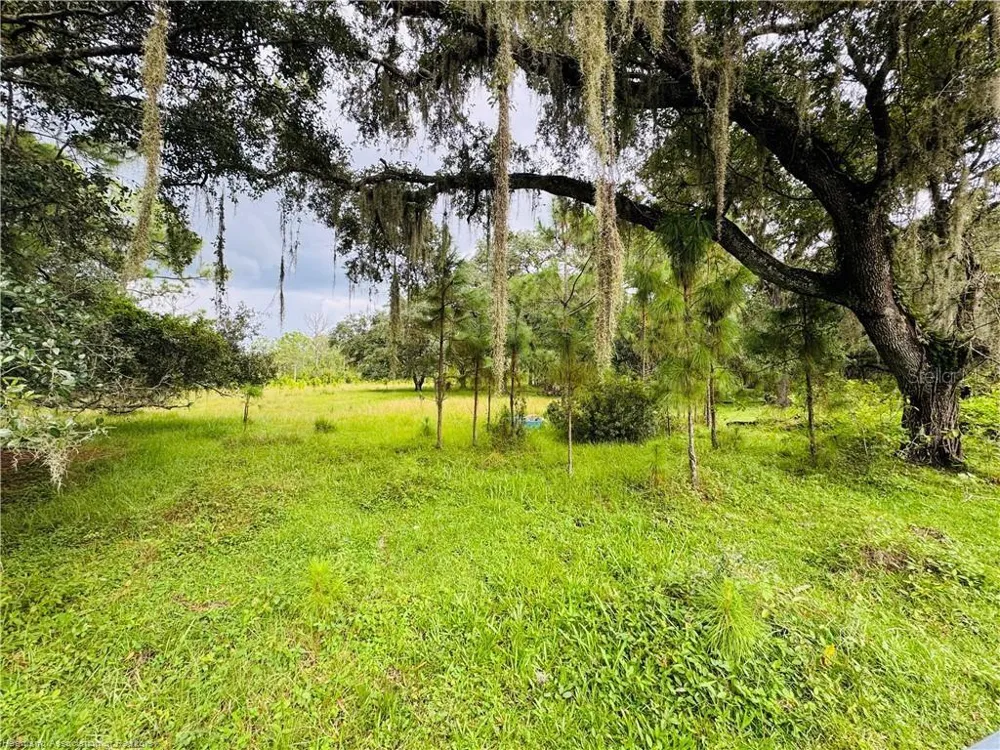 DETJENS DAIRY ROAD Venus, FL 33960
