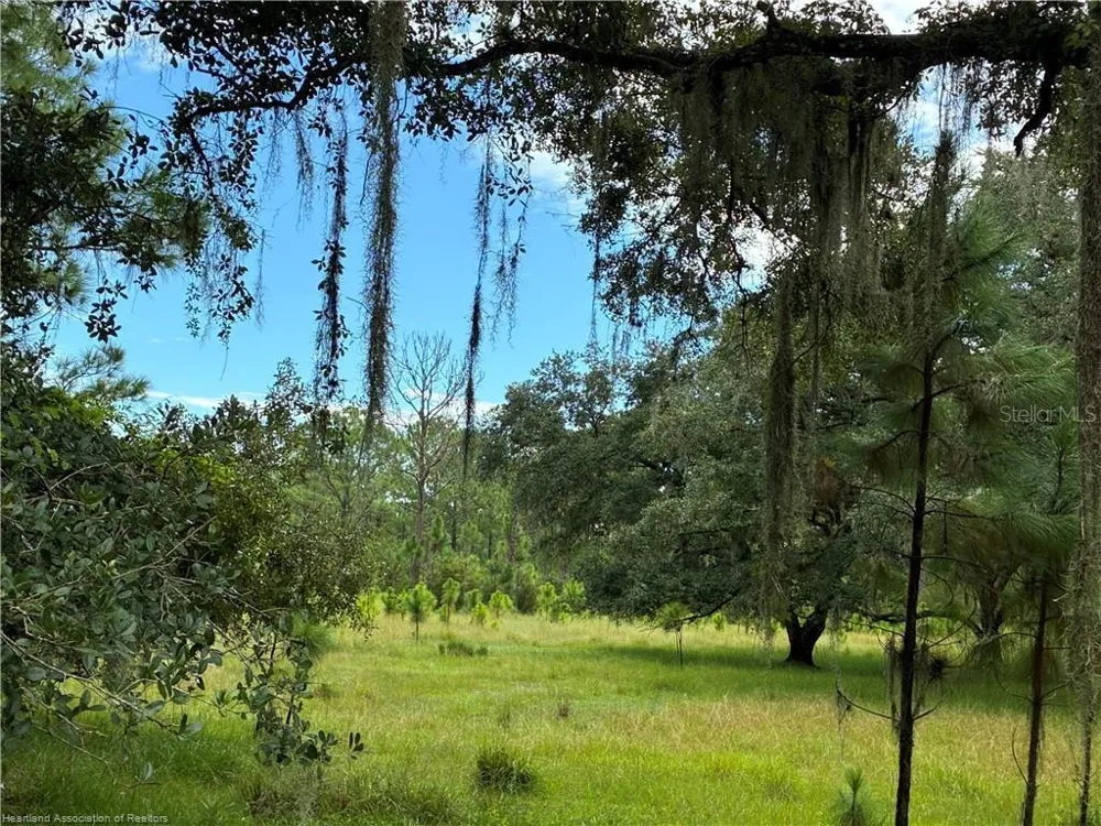 DETJENS DAIRY ROAD Venus, FL 33960