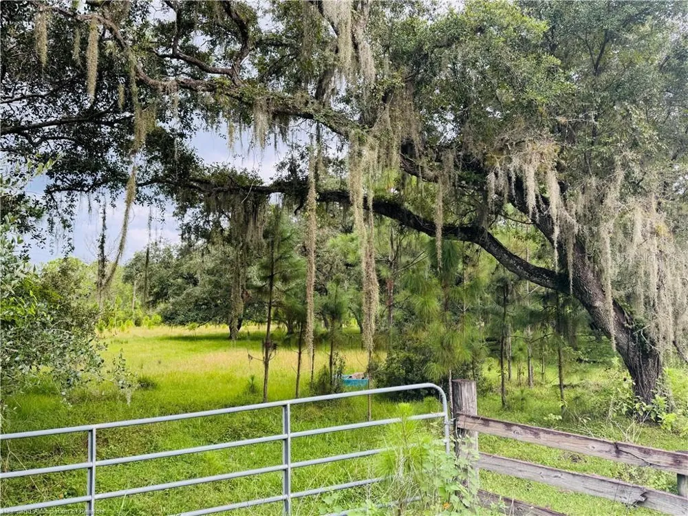 DETJENS DAIRY ROAD Venus, FL 33960
