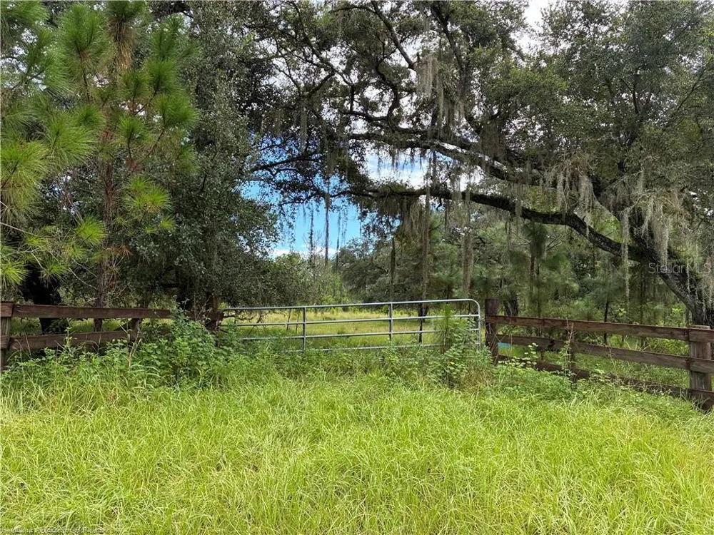 DETJENS DAIRY ROAD Venus, FL 33960