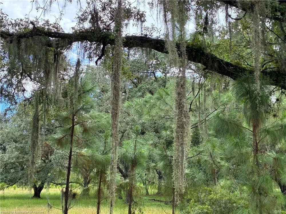 DETJENS DAIRY ROAD Venus, FL 33960