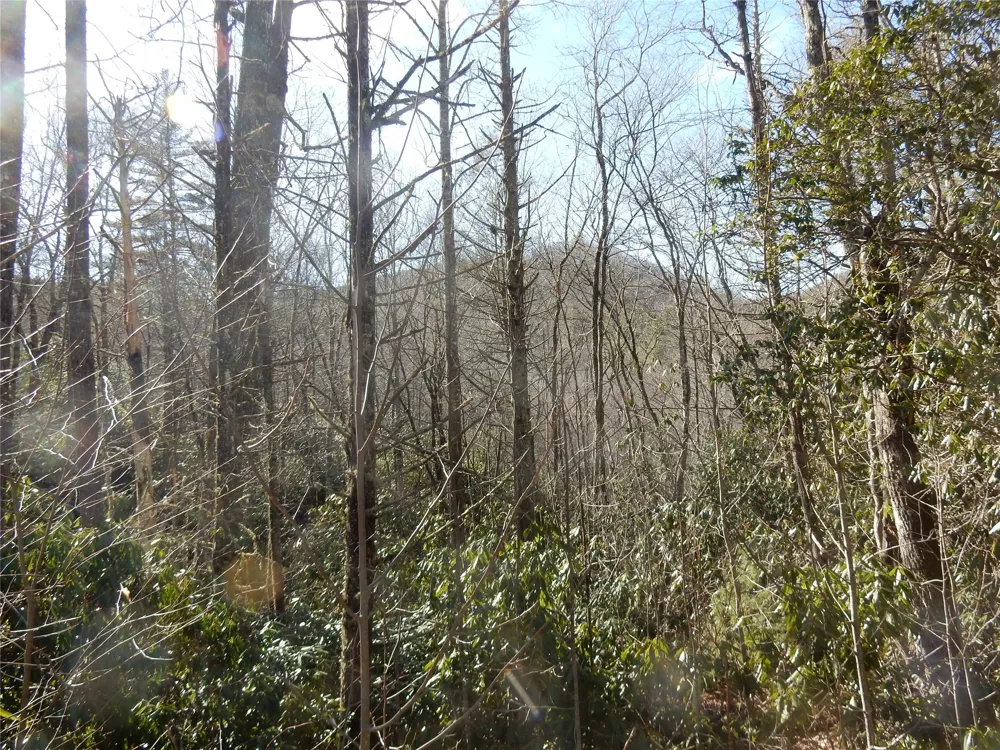 85 Fishing Village Lane Cullowhee, NC 28723