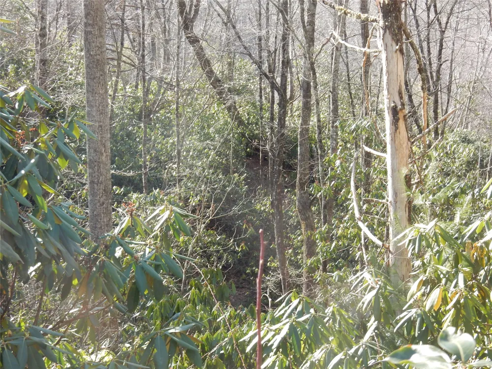 85 Fishing Village Lane Cullowhee, NC 28723