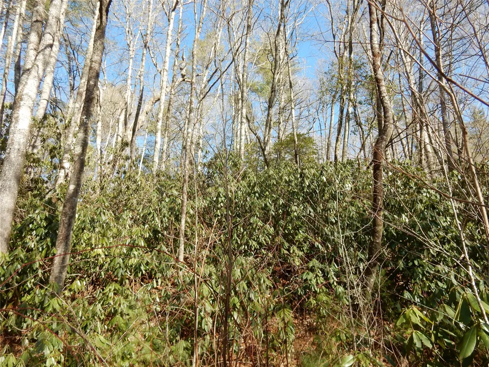 85 Fishing Village Lane Cullowhee, NC 28723