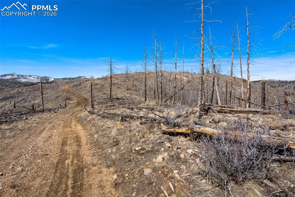 0 Rist Creek Road Bellvue, CO 80512