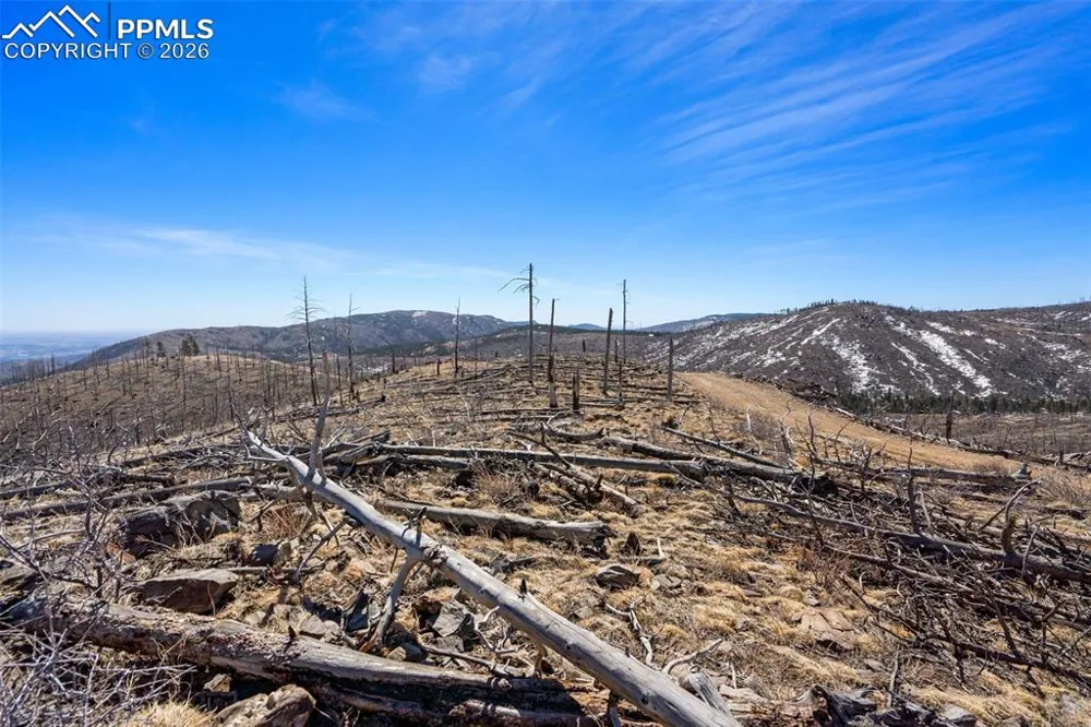 0 Rist Creek Road Bellvue, CO 80512