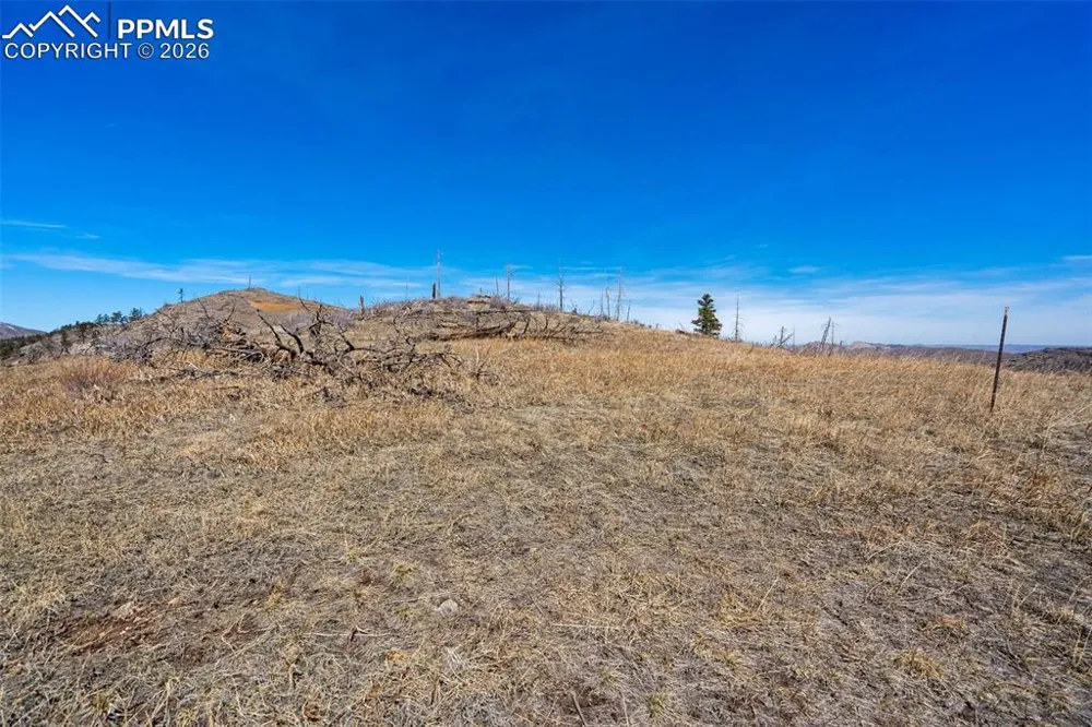 0 Rist Creek Road Bellvue, CO 80512