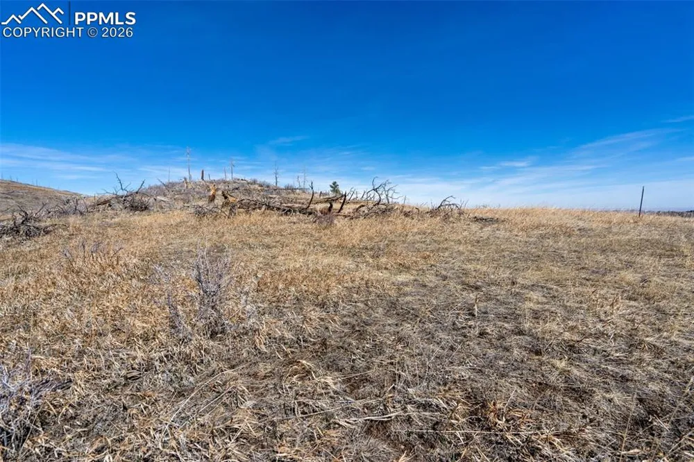 0 Rist Creek Road Bellvue, CO 80512