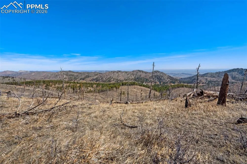 0 Rist Creek Road Bellvue, CO 80512