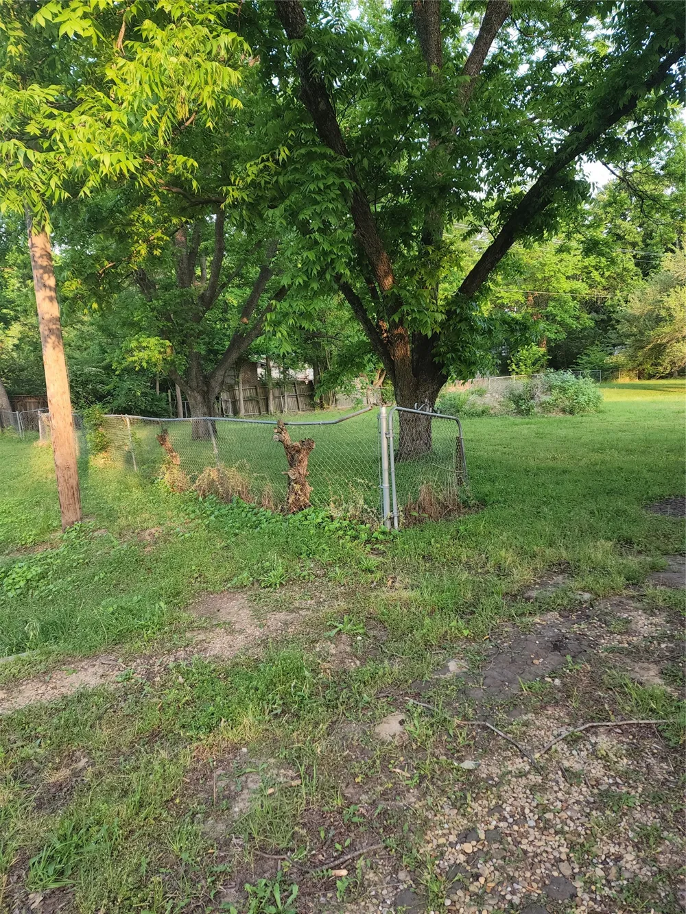 103 Dardenwood Way Payne Springs, TX 75156