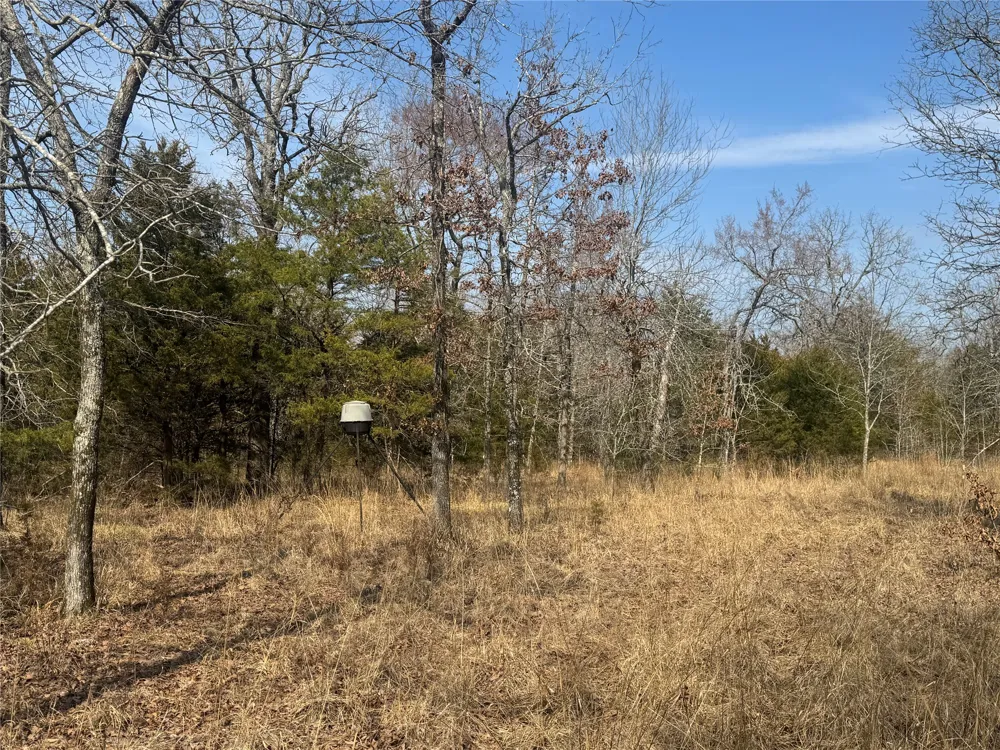 E 1931 RD Antlers, OK 74523