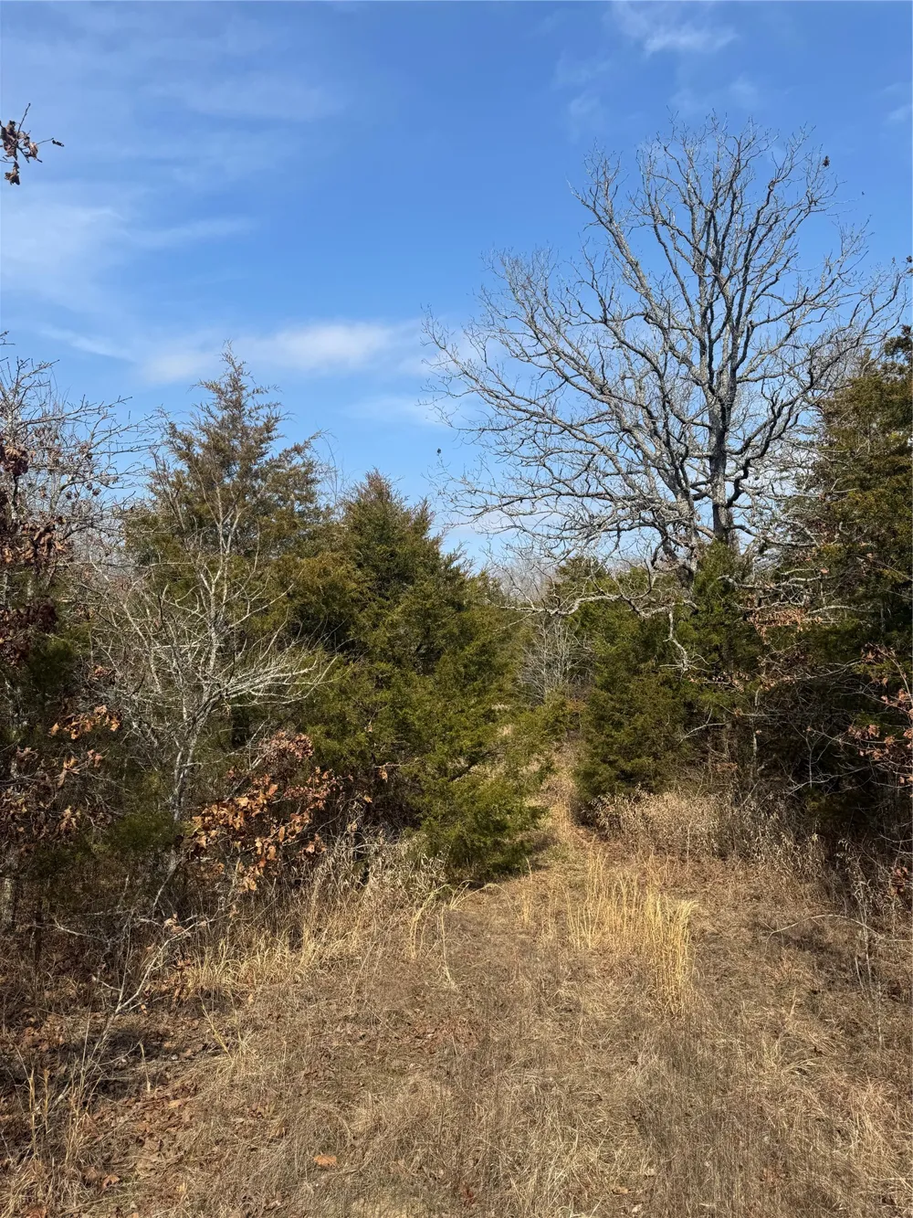 E 1931 RD Antlers, OK 74523