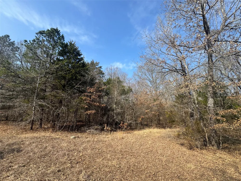 E 1931 RD Antlers, OK 74523