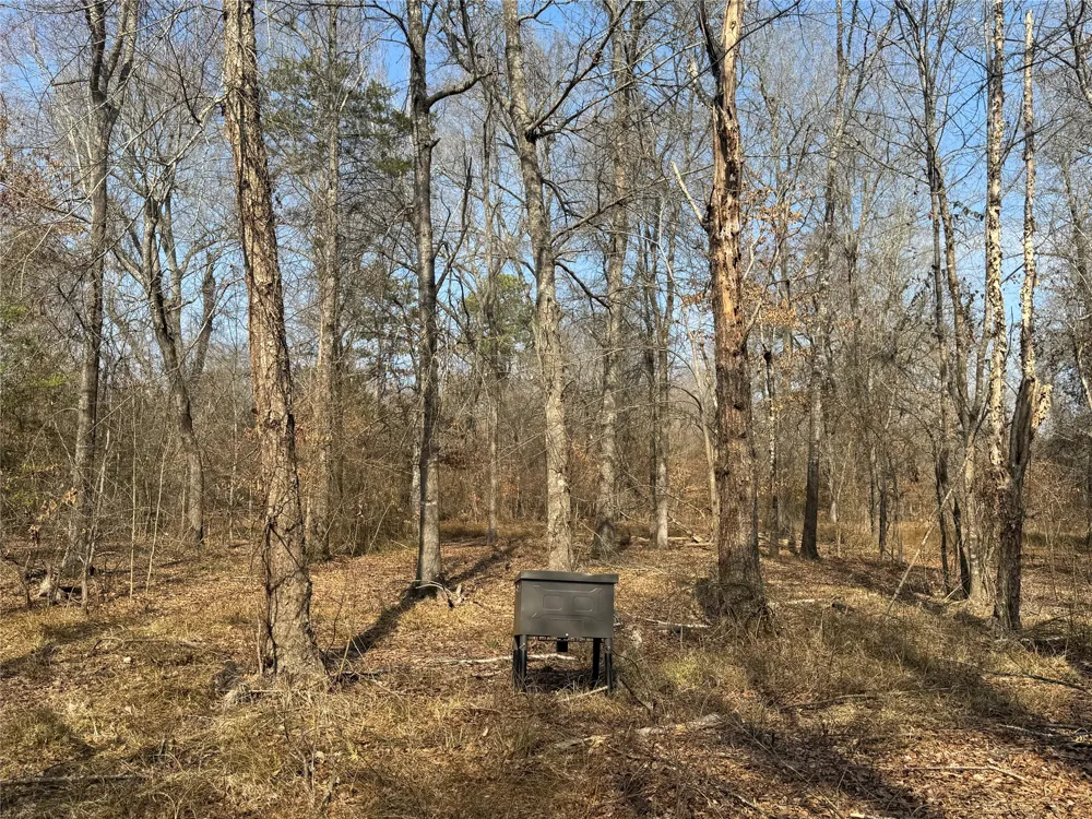 E 1931 RD Antlers, OK 74523