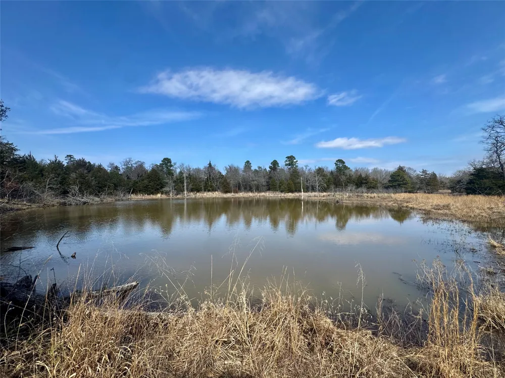 E 1931 RD Antlers, OK 74523