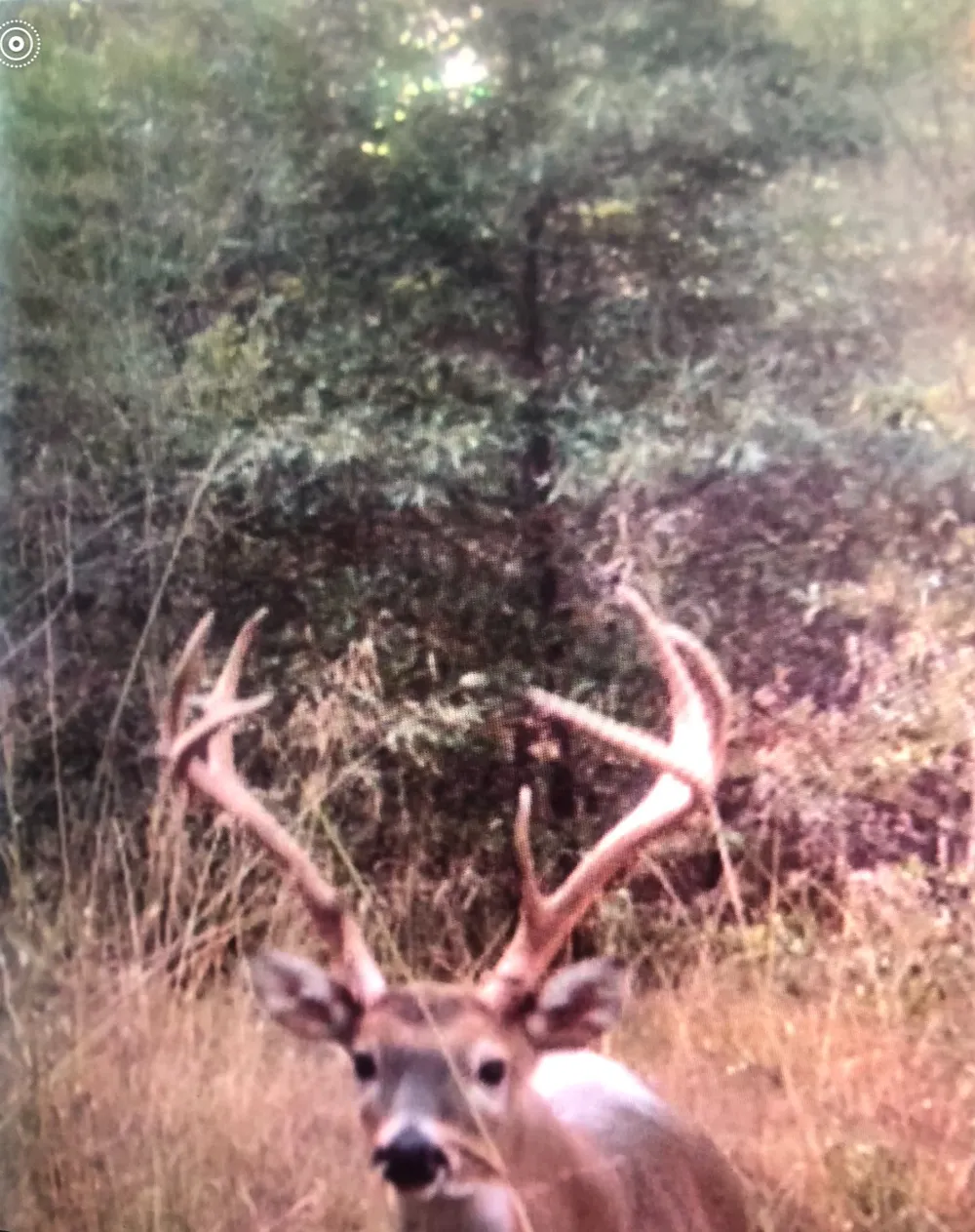 E 1931 RD Antlers, OK 74523