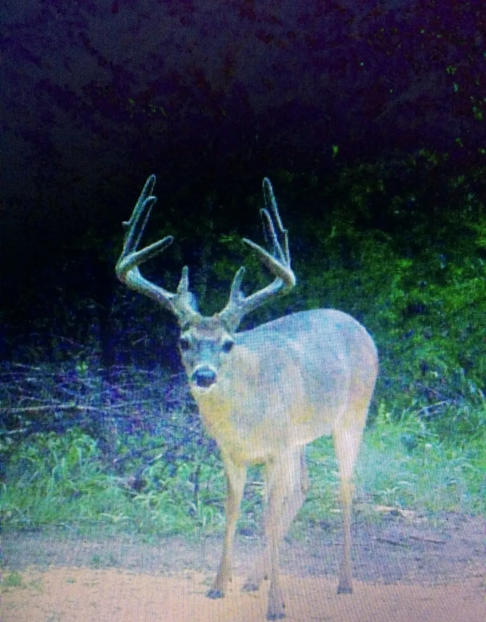 E 1931 RD Antlers, OK 74523